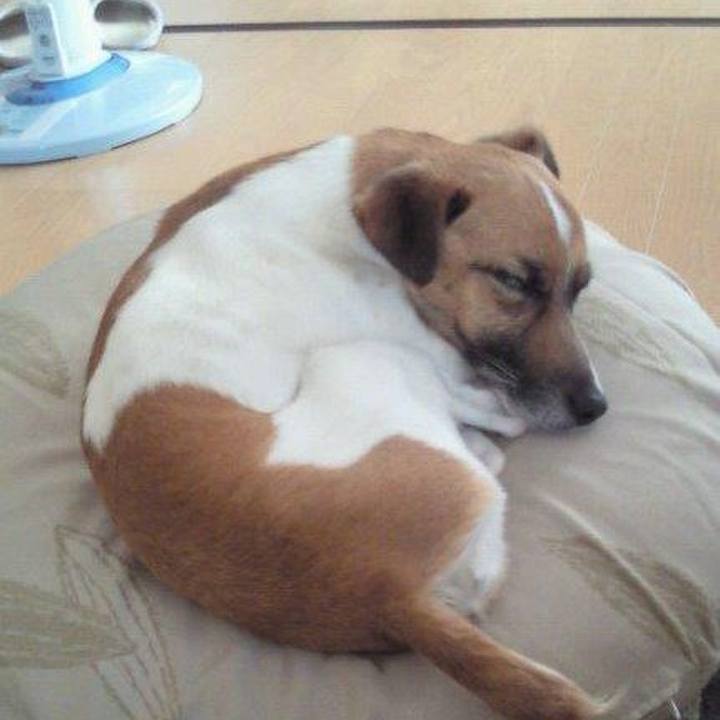 Ac110469 67d1 49b6 a67b 55222b38af49 1561350548166