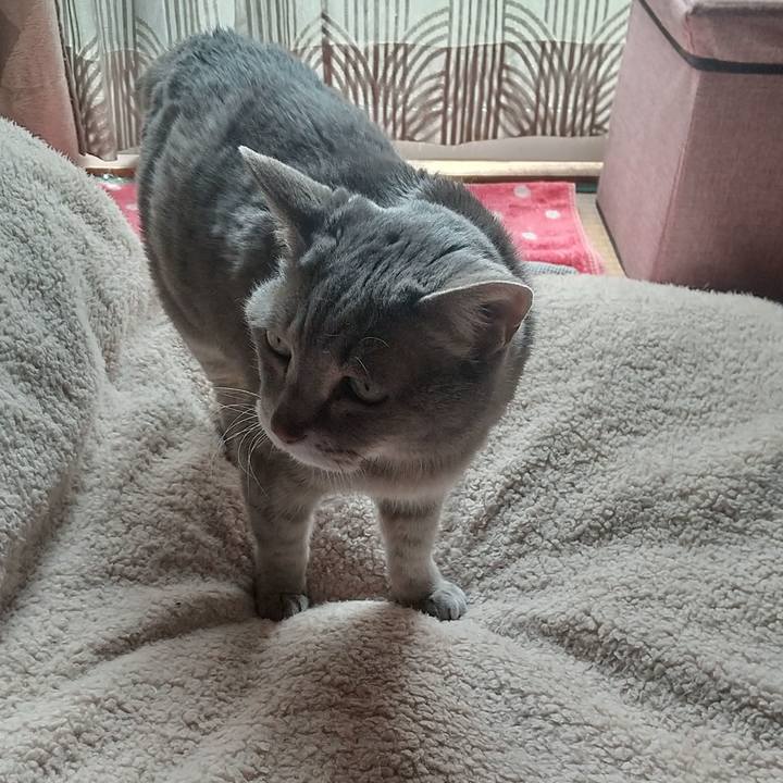 Ac112527 a467 4dad afb8 451914a3b8b9 1681780330031