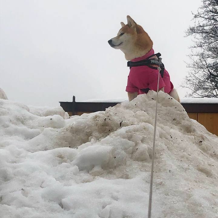 Ac112bc3 bceb 4065 ac85 f0a271c4f859 1545007054236