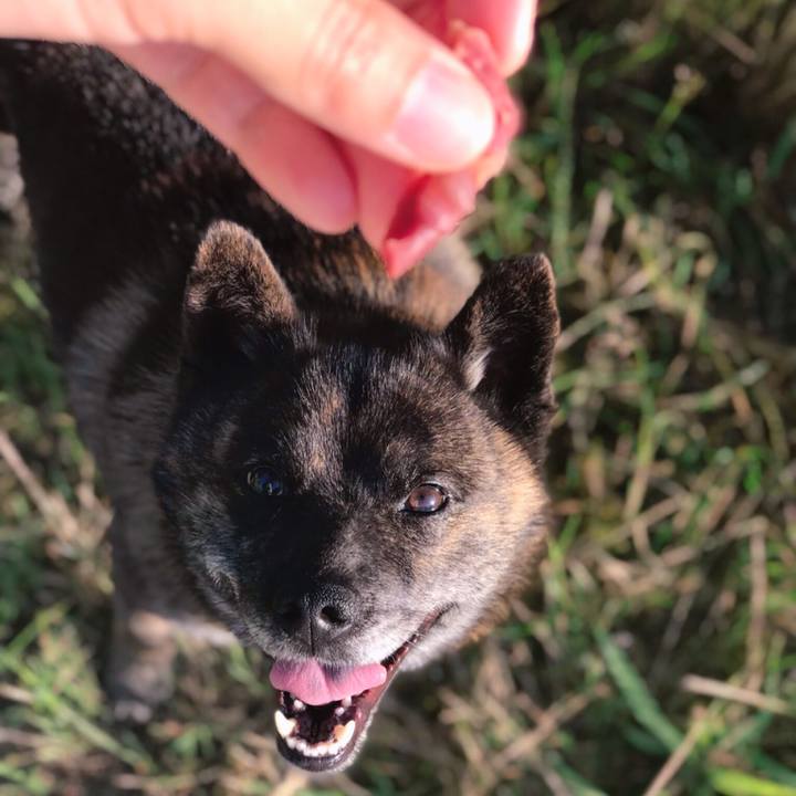 Ac1132ec 0949 457c 9fbe 281d21f5a6ec 1560424387984