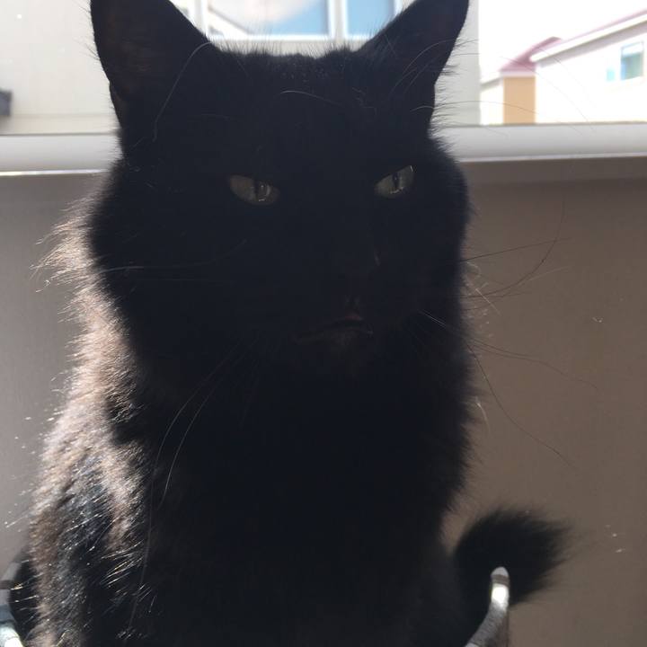 Ac11810b 60f3 4818 8fb5 e14de9f4af33 1529028100974