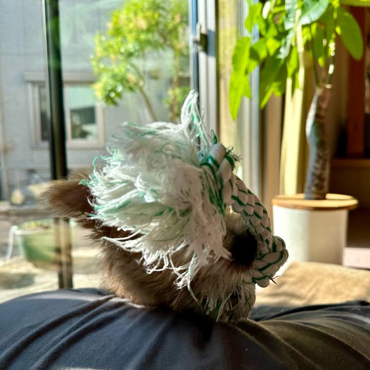 Ac1195d6 9406 43db 880f d6574d54c8e9 1701955666837