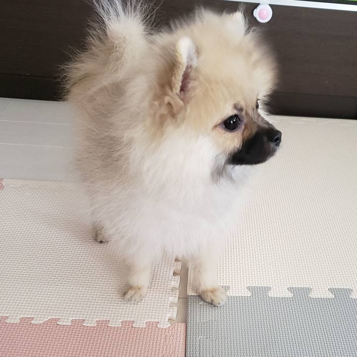 Ac1197eb 48a1 436b a951 1ac21cadfccb 1613605067038