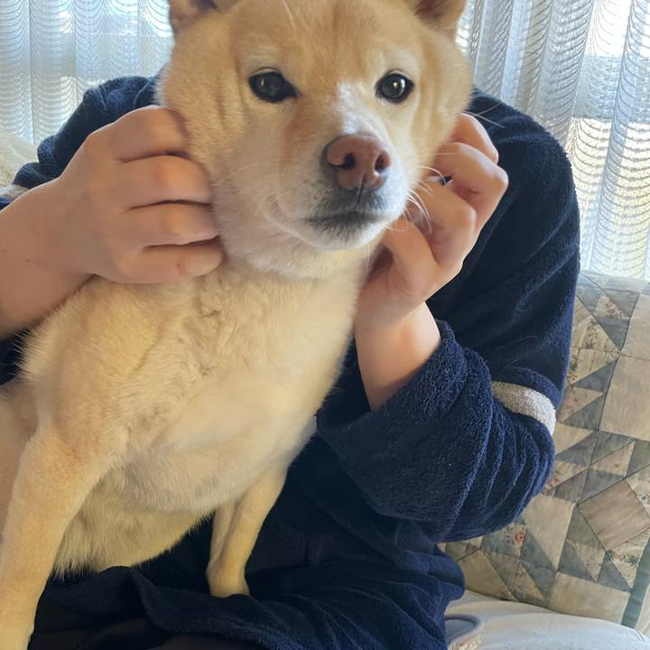 Ac11db76 9867 4065 8efa 80580b897165 1738801597396