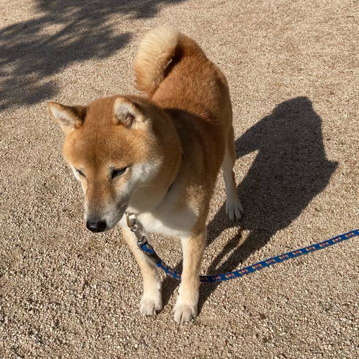 Ac11e74c 10d0 485c 8dab 4db2338dbb9f 1637310740136