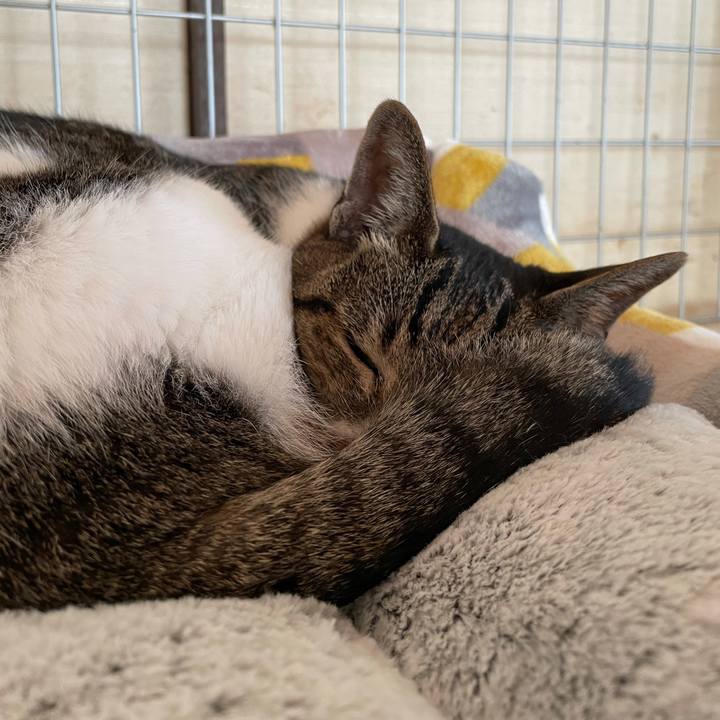 Ac121406 9673 4254 979e d1cdbc3dbc7d 1606871337675