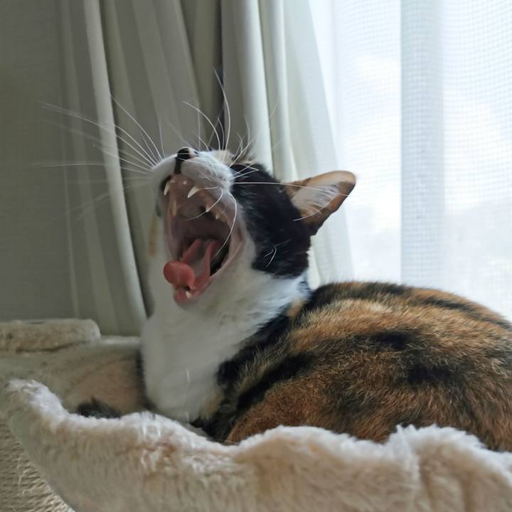 Ac1221d2 ca25 4893 bf76 ebb3de38b48a 1635907227898