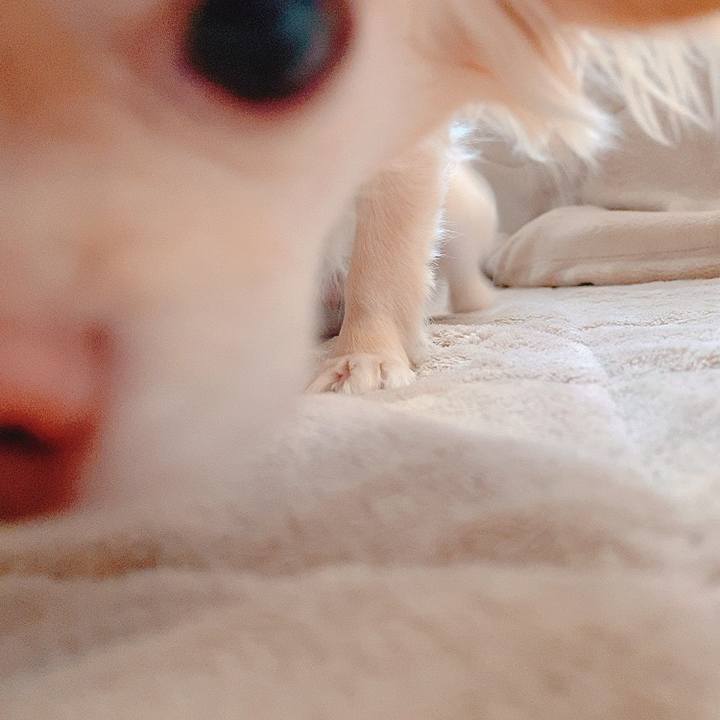 Ac12296f cf56 471d 8bf2 7e72d1f4410b 1618988123552