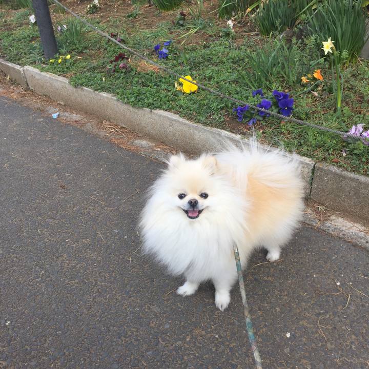 Ac12a6cd 3cd7 445c 95fc 2c63e7883b63 1551480905671