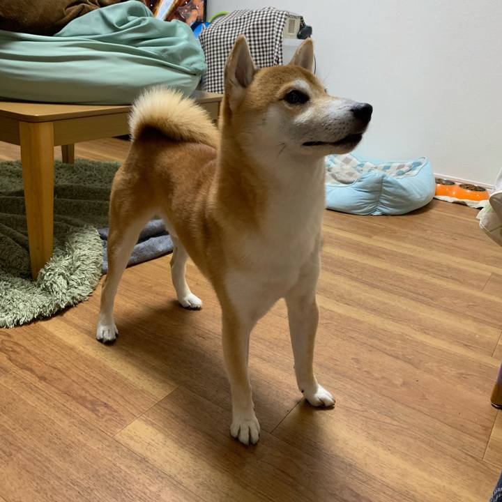 Ac12a8a3 7866 452b 9ddc fbe933646107 1571402628820