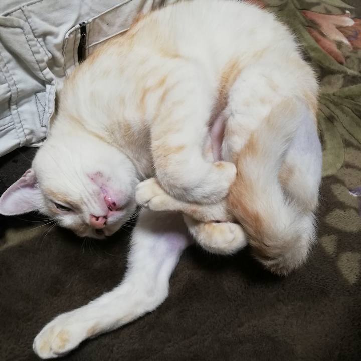 Ac12b17c dd1c 4313 8bb4 fdeff9438f7d 1602109171536