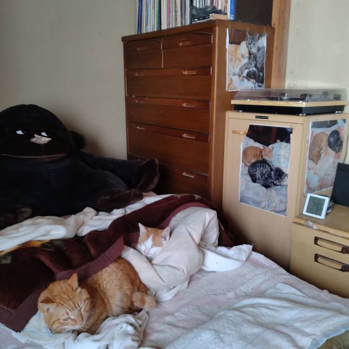 Ac12e824 f37a 4a8f 8fd9 96fede96bac4 1742424386611