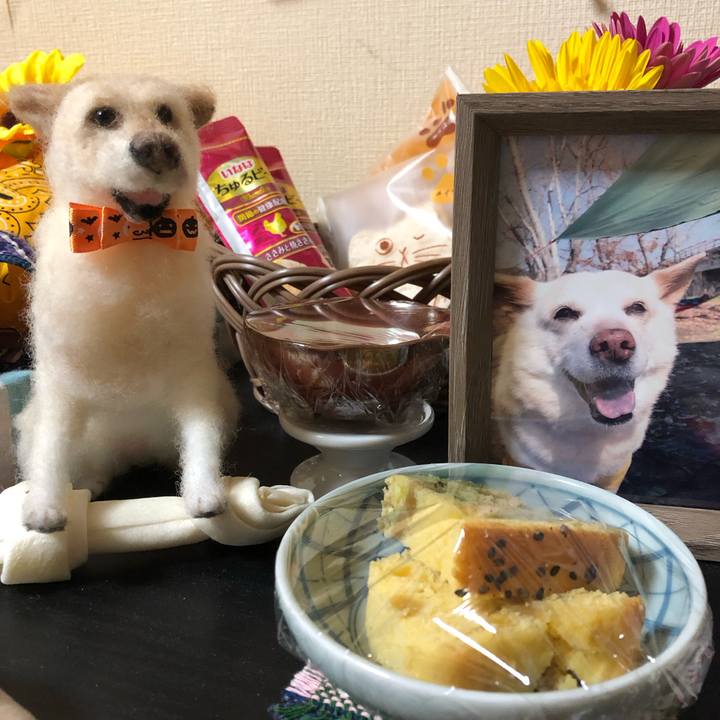 Ac12fab7 09dd 4817 bd15 97299d5d7daf 1669193890027