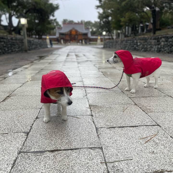 Ac130ec2 6e85 4b24 b555 24c082b04020 1772840029583