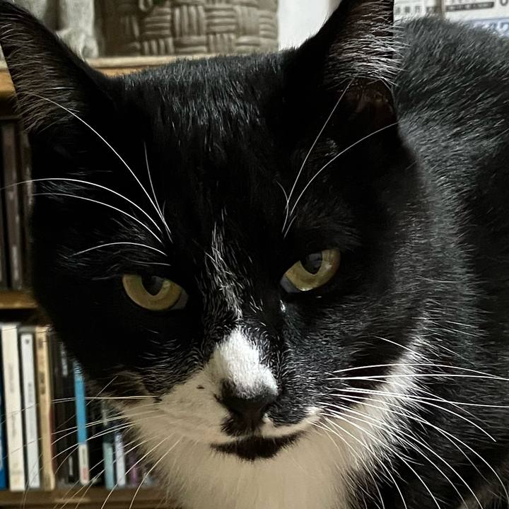 Ac1332d1 2dd4 4695 ba92 fbe6a739ce6c 1670816336697