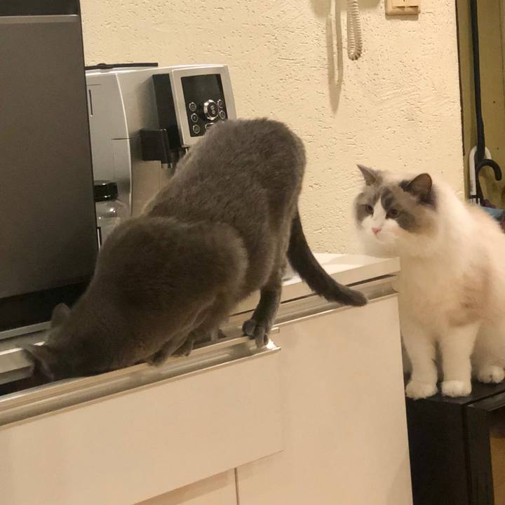 Ac134821 b2d7 4460 b3aa 133196e1697b 1587607755181