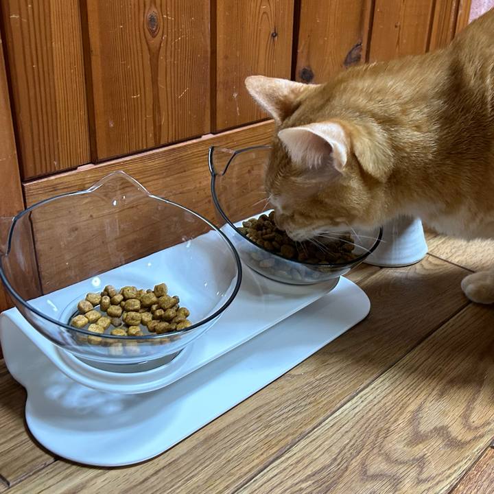 Ac1355ec fad2 4f64 98a3 99c0894b7035 1671708806027