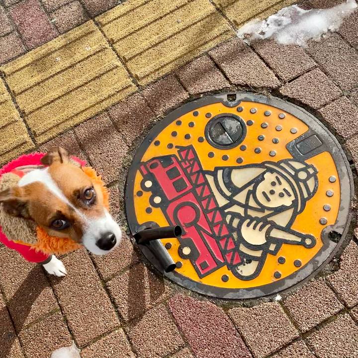 Ac136d65 b107 4f17 9bf0 a93069f14013 1645170875843