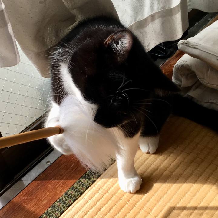 Ac13849d 5668 4efc ac96 2cf4d74953e2 1575206172941