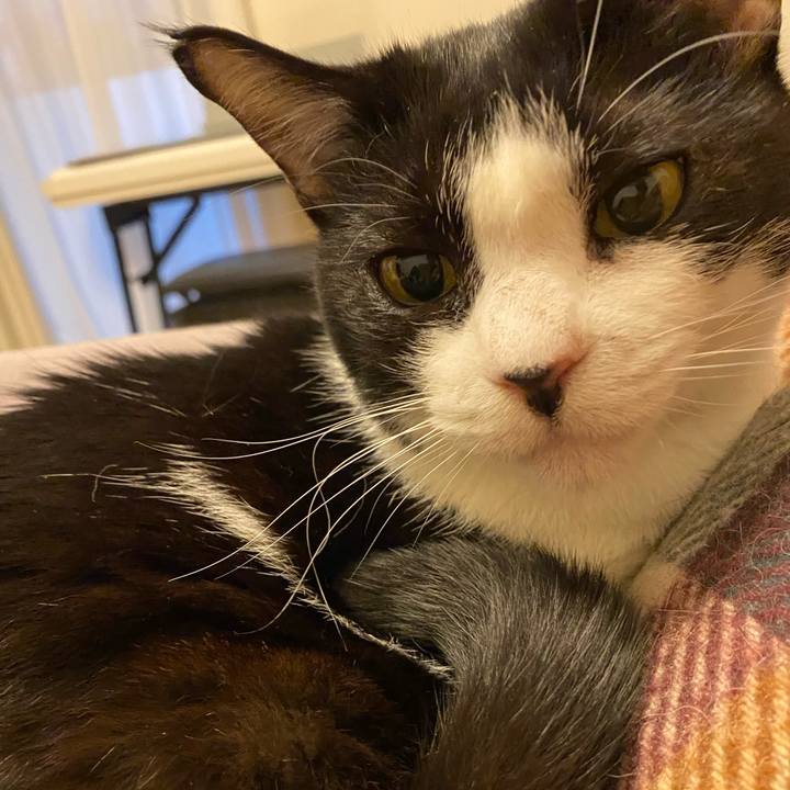 Ac13b626 2caf 4f99 b42b 0d845d4e8083 1774089928607