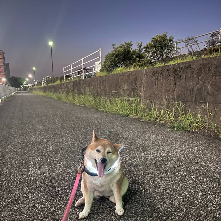 Ac1401d3 e36b 4253 9bab b3510d3f98c3 1690368646368