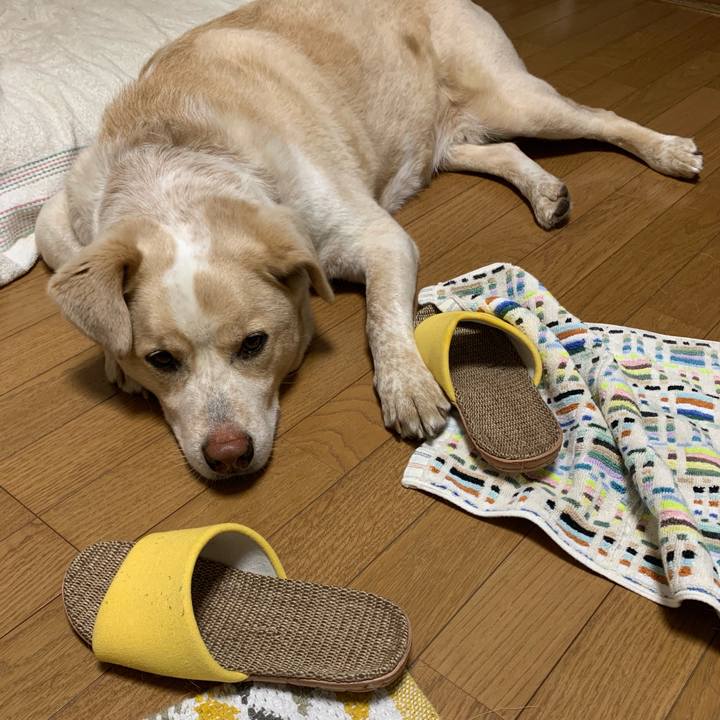 Ac149c4c 8ddb 40c2 9726 38e182c17857 1559817997818