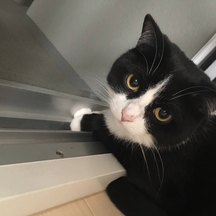 Ac14caf3 37b0 4aec b2ab 3f90aca829aa 1566824076747