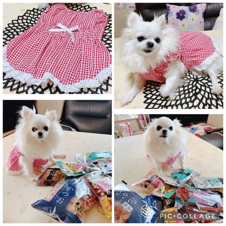 Ac14e074 bfa4 4494 87e2 05ccb87823d1 1748385955187