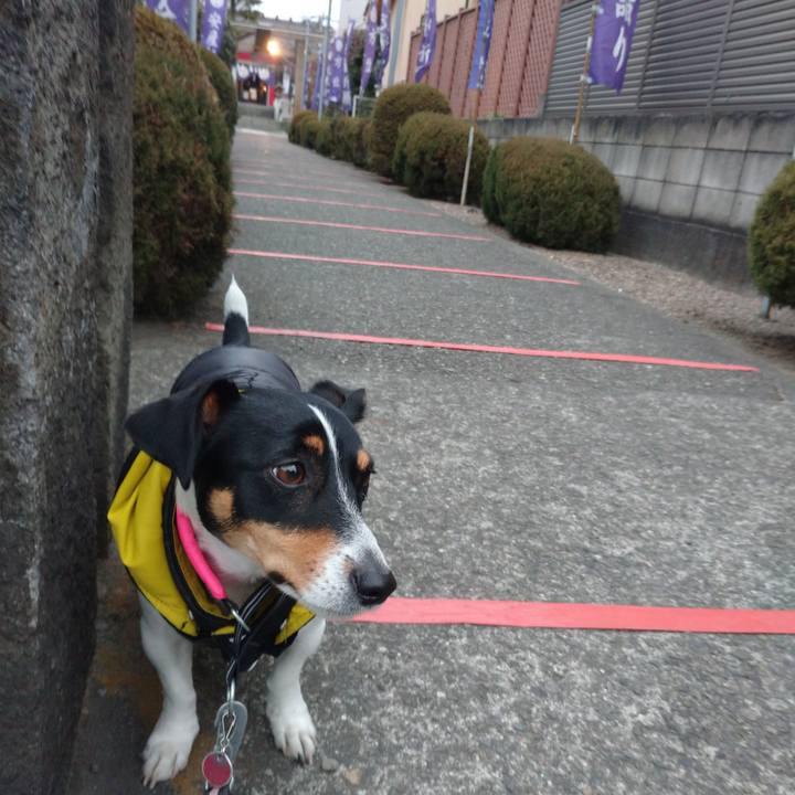 Ac14e1f2 766d 442c 9f5c a660642837e0 1611363131230