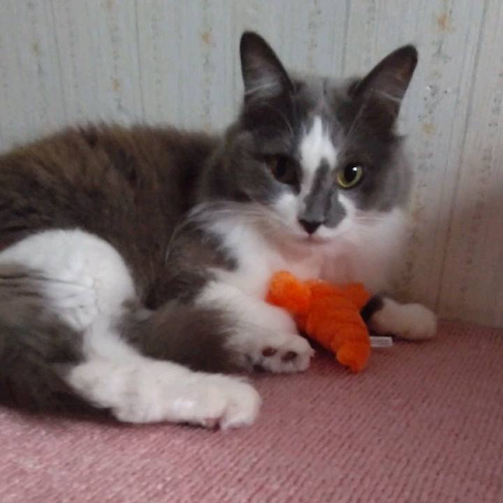 Ac150916 0f38 4cf8 9c83 e3eea70224b9 1637478634045