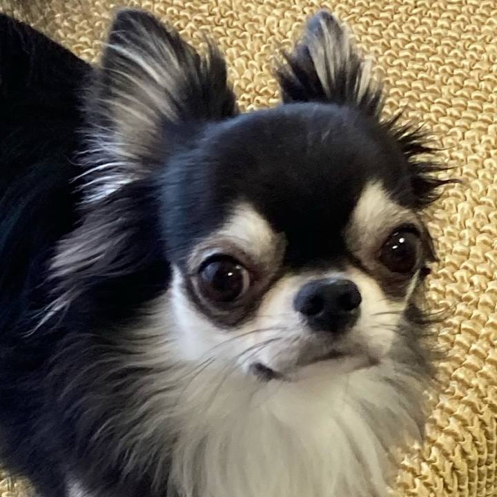 Ac15284e 50a0 4b49 9bb5 8c9968018001 1656738277799