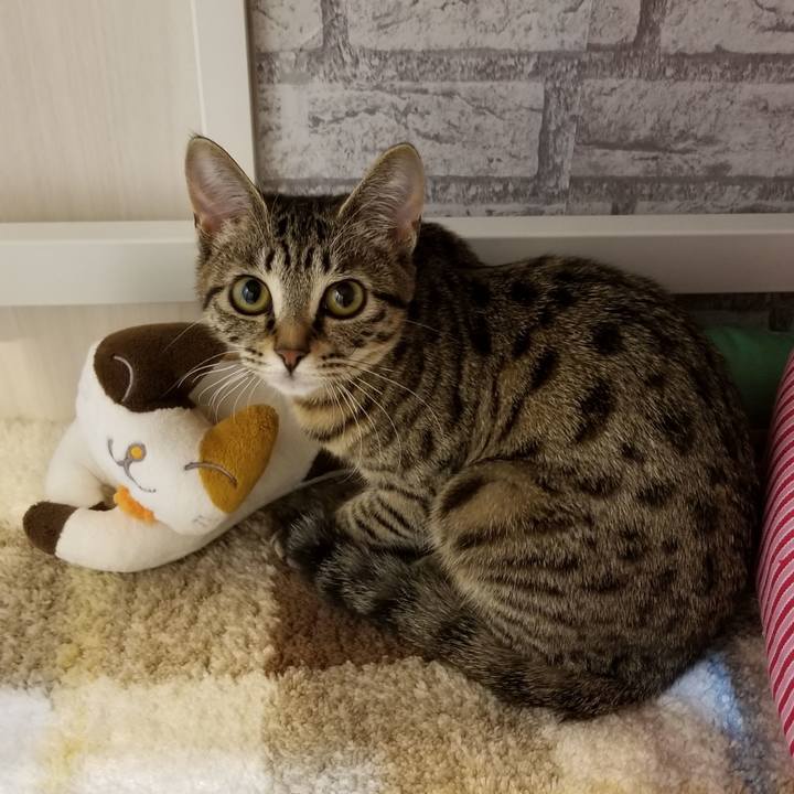 Ac152de0 8bbf 4b71 b39c bc24f935d507 1548944888365