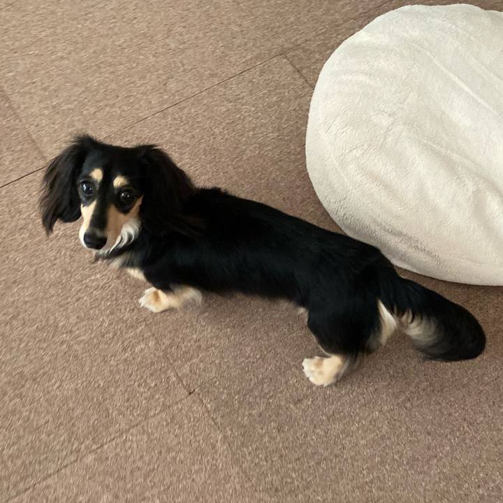 Ac153875 2860 4535 a338 b5cc46426b60 1716351082352