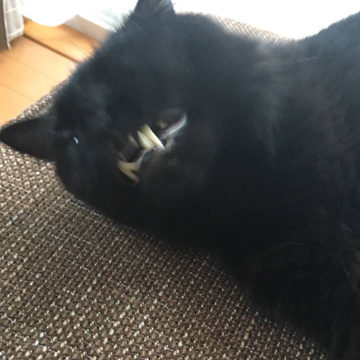 Ac15a07f 00d1 4fa3 aaf6 5f012bb53b2d 1528786248476