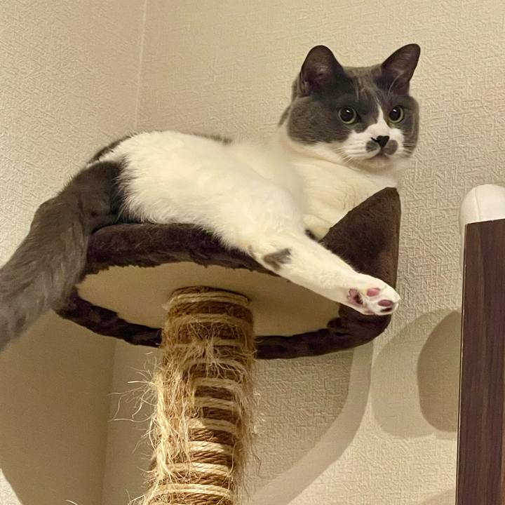 Ac15a103 1d28 42ec a2f6 47439ef65407 1748710717881