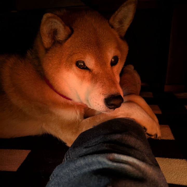 Ac15b6f0 852a 400e b52f 4da97e6e7e47 1738487820561