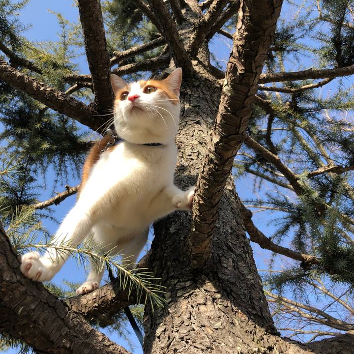 Ac15b95d 06b0 4b88 9af1 e46056d01256 1549168049907