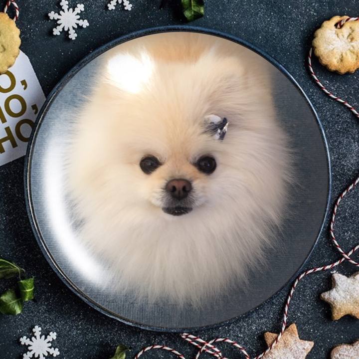 Ac15c2d1 03fc 42f1 9b4f 9ba069cf21bd 1613720024987