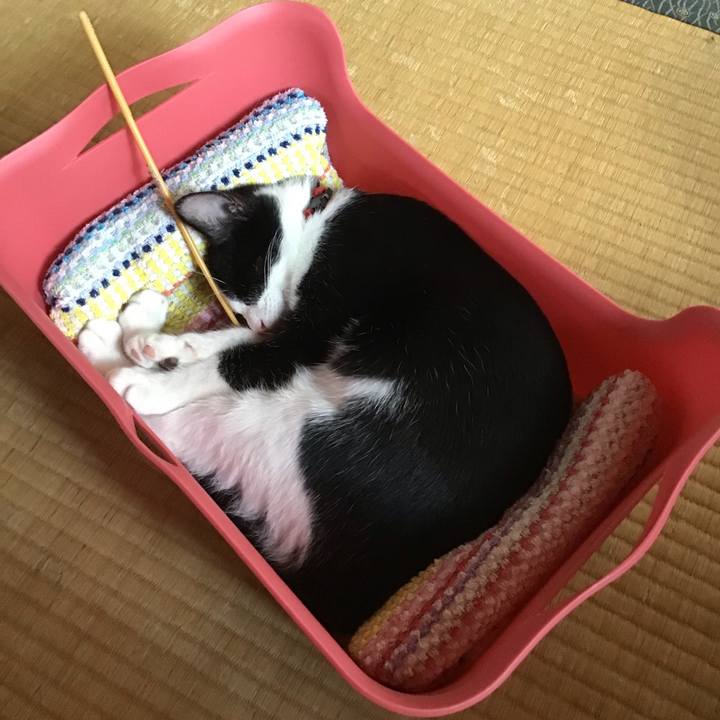 Ac15d004 f2d4 497f b763 9d37a01edbcf 1627870563661