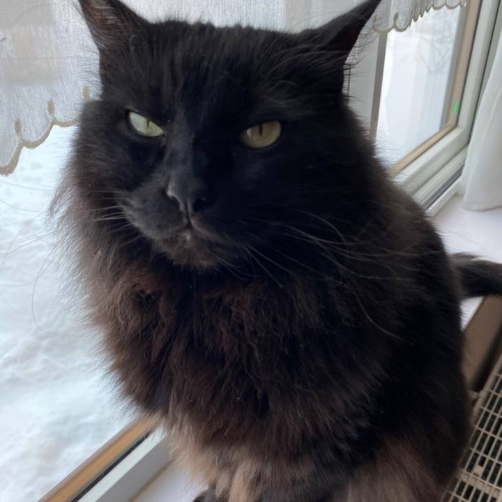 Ac160713 cb31 4ca5 9ab7 2da4358cb4dc 1580875488440