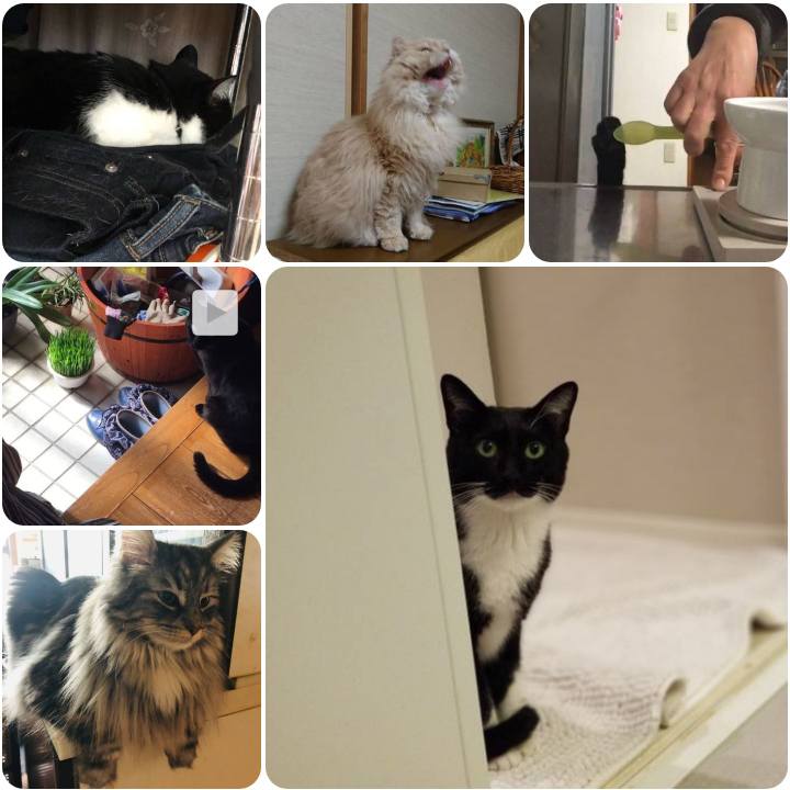 Ac160740 41d0 4517 b049 92b1fc6b4507 1557040420659