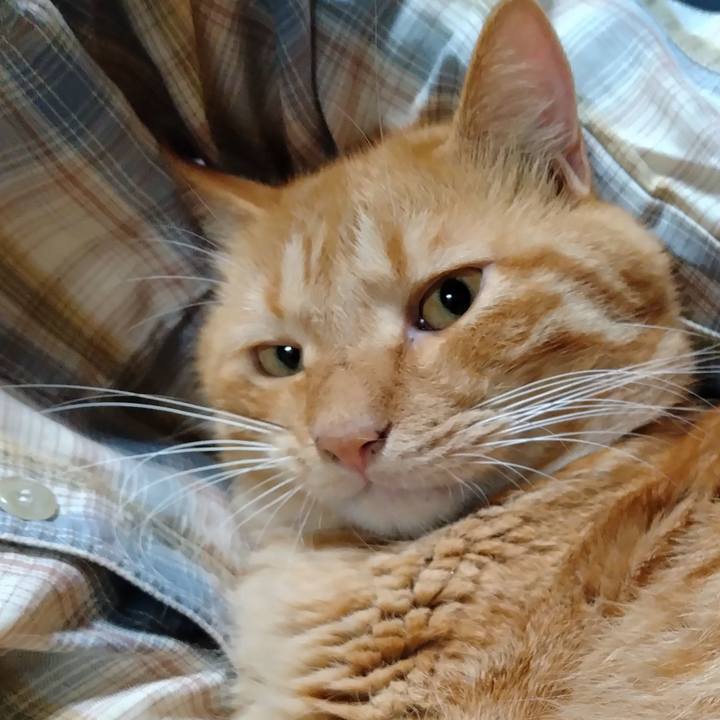 Ac160f41 4526 480a b701 bfcf6c718042 1695723104298