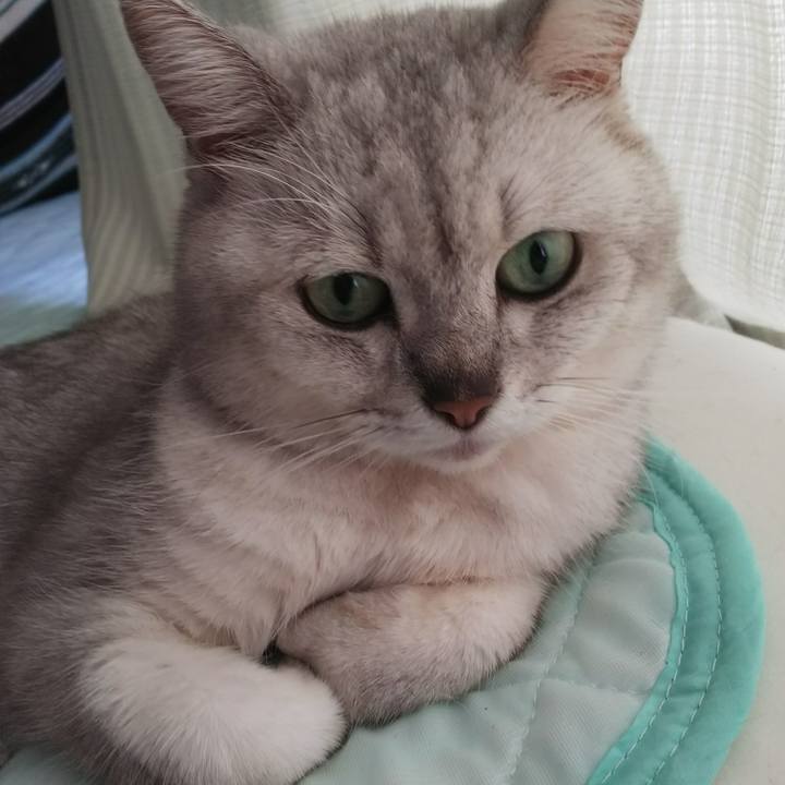 Ac162cbd d922 487a bacd c9ed5797ee59 1535334093520