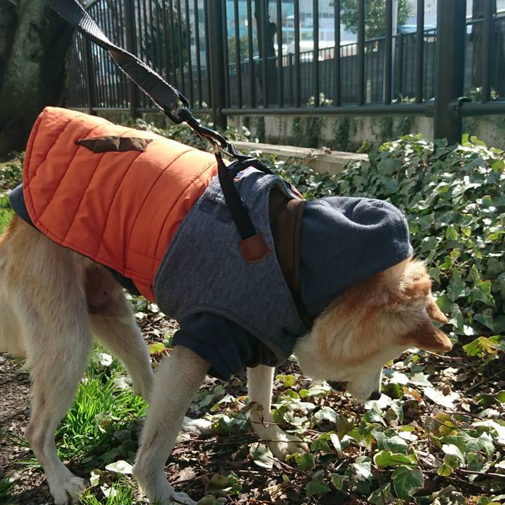 Ac165564 eb8b 40fd b4c1 65032bbbb5f6 1520044670750