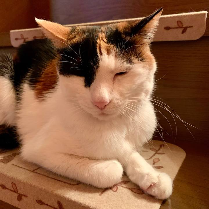 Ac1677fa 82a6 48d2 b79d 9d575499bb50 1611404295973