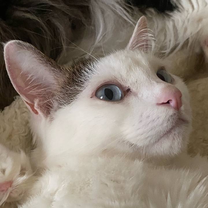 Ac169fd1 74c7 4a03 bef4 b92af7408583 1689035888849