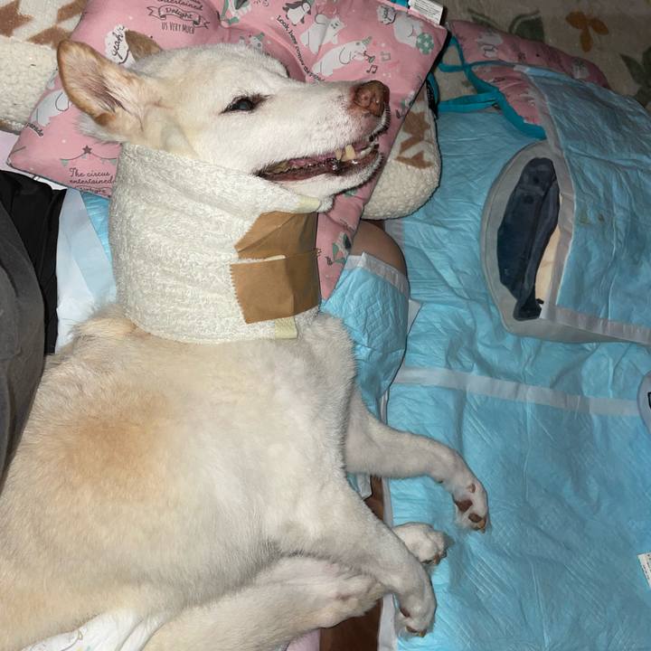 Ac16a428 1222 44a8 a29a 172d3b48fa6b 1696356221698