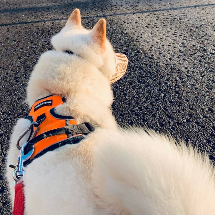 Ac171c8a bd00 413a 9b82 397c72157e64 1617831965989