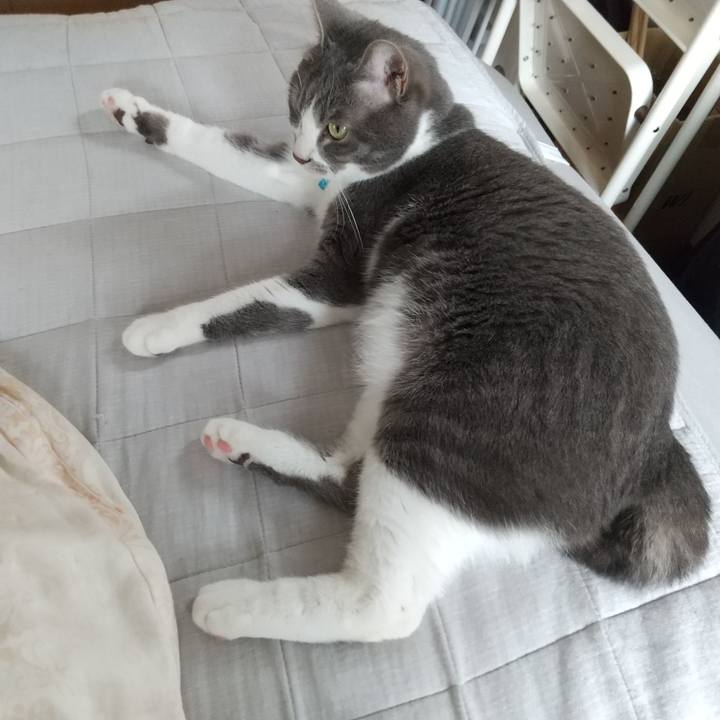 Ac178645 0d38 4484 af04 1b5ebf61ff53 1652752360819