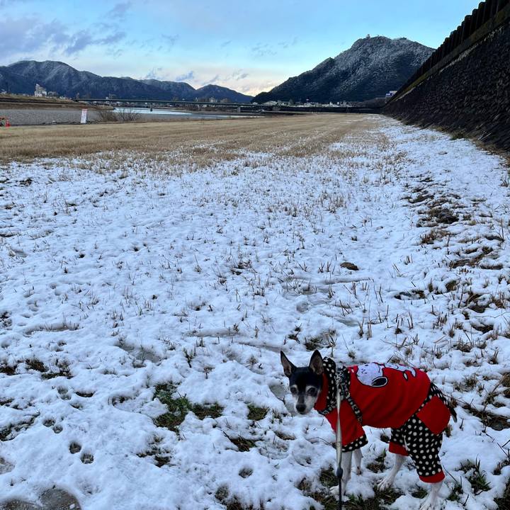 Ac179094 697d 47df 9ccb 0a4ba69b545a 1640946219921